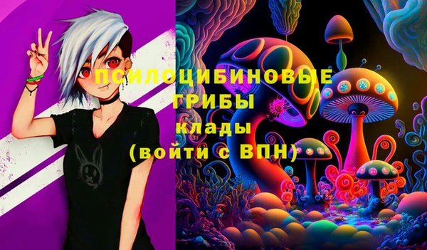 спиды Семилуки