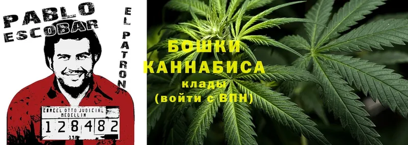 Конопля Bruce Banner  закладки  Уяр 